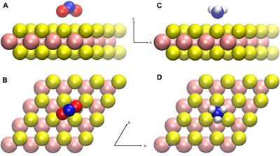 Counter charge cluster formation in molecular doping of molybdenum disulfide